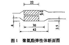 图1 聚氨酯弹性体断面图 图1 聚氨酯弹性体断面图