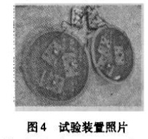 图4 试验装置照片 图4 试验装置照片