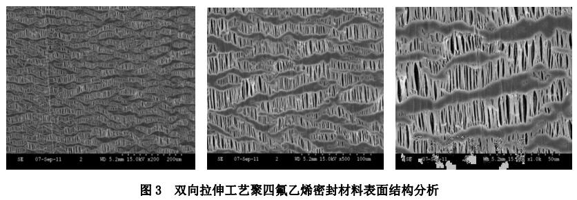 图3 双向拉伸工艺聚四氟乙烯密封材料表面结构分析